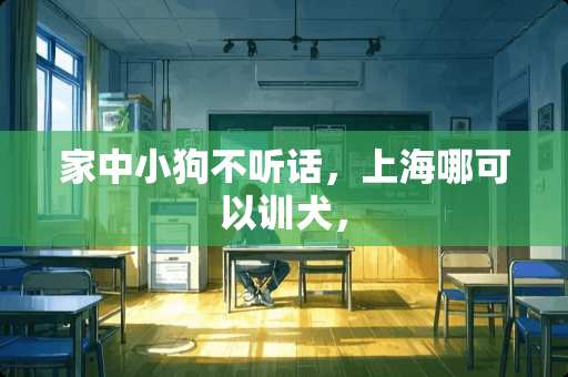 家中小狗不听话，上海哪可以训犬，