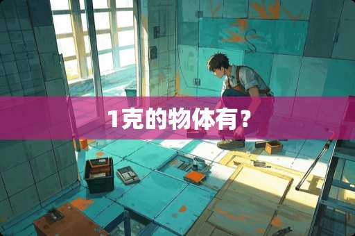 1克的物体有？