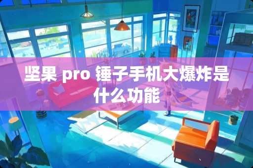 坚果 pro 锤子手机大**是什么功能
