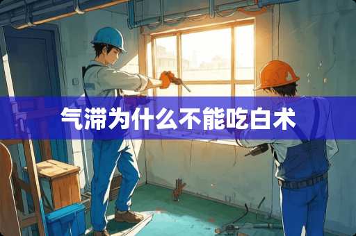 气滞为什么不能吃白术