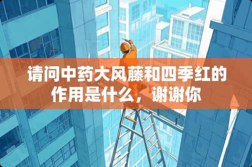 请问中药大风藤和四季红的作用是什么，谢谢你