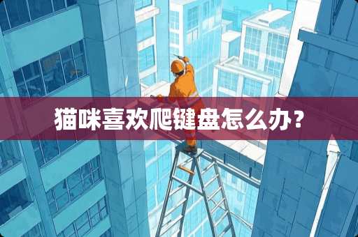 猫咪喜欢爬键盘怎么办？