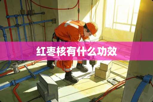 红枣核有什么功效