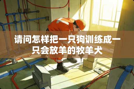 请问怎样把一只狗训练成一只会放羊的牧羊犬