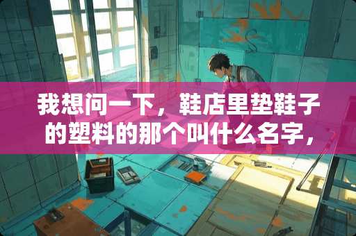 我想问一下，鞋店里垫鞋子的塑料的那个叫什么名字，鞋子放在上面展示好看