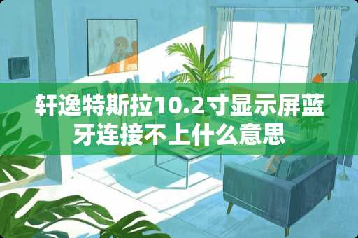 轩逸特斯拉10.2寸显示屏蓝牙连接不上什么意思