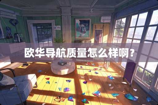 欧华导航质量怎么样啊？
