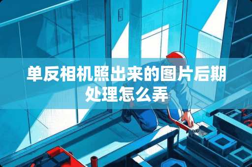 单反相机照出来的图片后期处理怎么弄