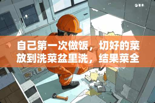 自己第一次做饭，切好的菜放到洗菜盆里洗，结果菜全撒在洗碗池里了，不能吃了吧