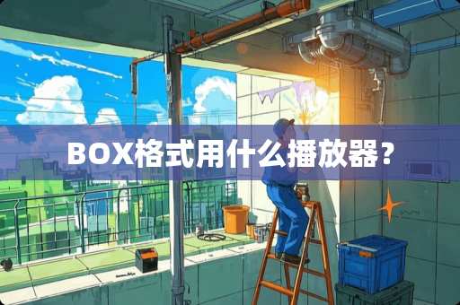 BOX格式用什么播放器? BOX格式用什么播放器?