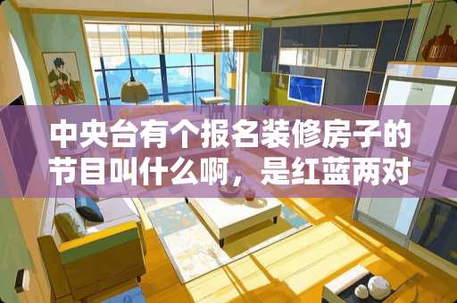 中央台有个报名装修房子的节目叫什么啊，是红蓝两对互换的那个？