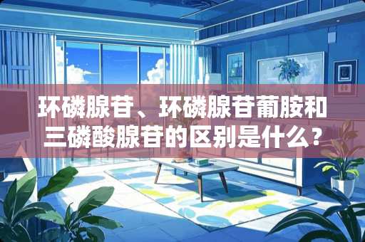 环磷腺苷、环磷腺苷葡胺和三磷酸腺苷的区别是什么？