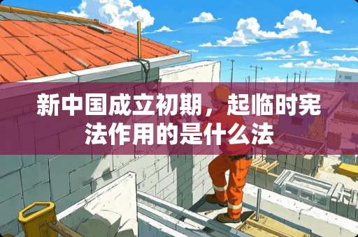 新中国成立初期，起临时宪法作用的是什么法