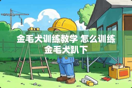 金毛犬训练教学 怎么训练金毛犬趴下