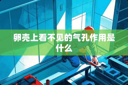 卵壳上看不见的气孔作用是什么