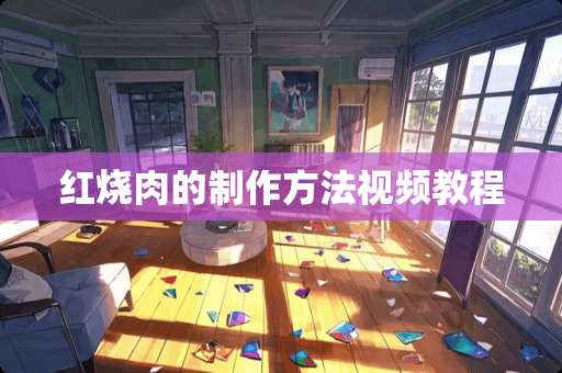 红烧肉的制作方法视频教程