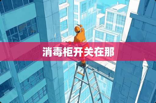 消毒柜开关在那