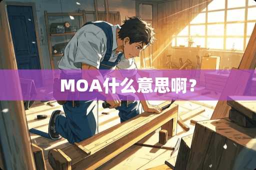 MOA什么意思啊？