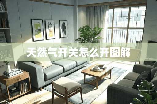 天然气开关怎么开图解