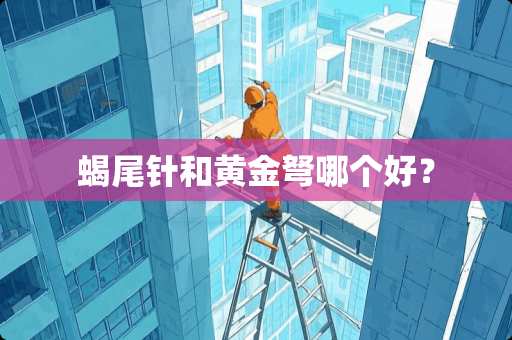 蝎尾针和黄金弩哪个好？