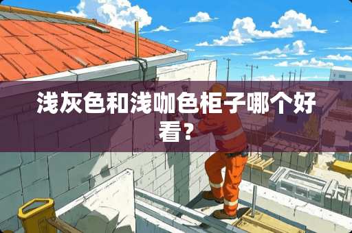 浅灰色和浅咖色柜子哪个好看？