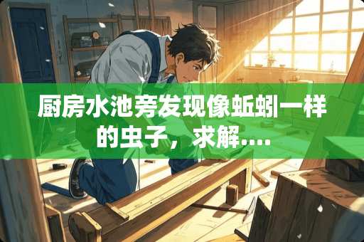 厨房水池旁发现像蚯蚓一样的虫子，求解....