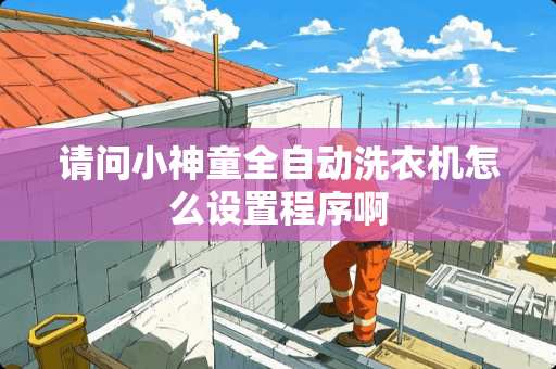 请问小神童全自动洗衣机怎么设置程序啊