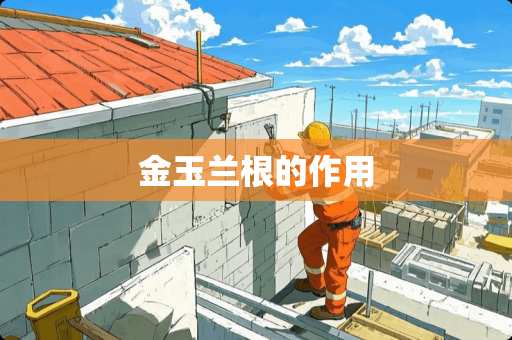 金玉兰根的作用