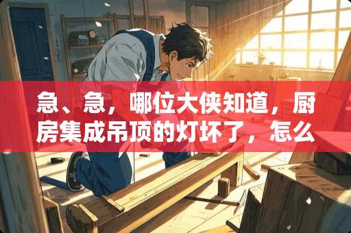 急、急，哪位大侠知道，厨房集成吊顶的灯坏了，怎么换，或者灯管怎么拿下来？？？？