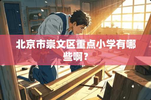 北京市崇文区重点小学有哪些啊？