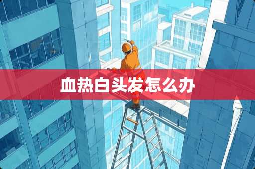 血热白头发怎么办