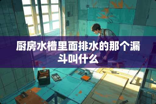 厨房水槽里面排水的那个漏斗叫什么