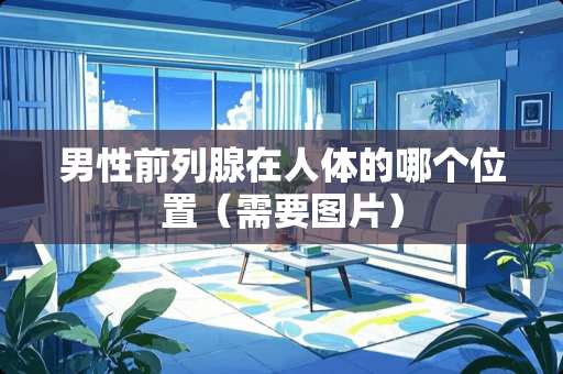 男性前列腺在人体的哪个位置（需要图片）