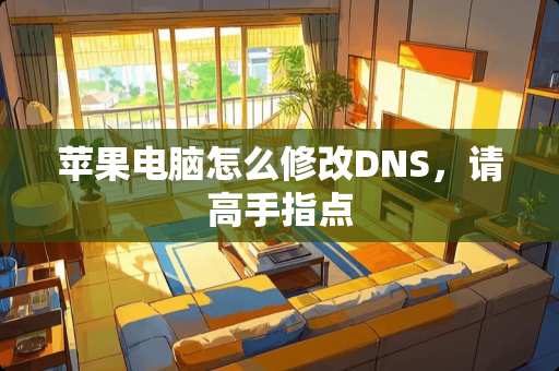 苹果电脑怎么修改DNS，请高手指点