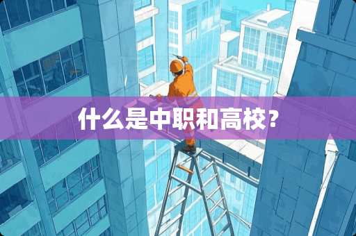 什么是中职和高校？