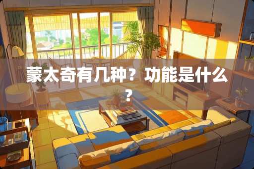 蒙太奇有几种？功能是什么？