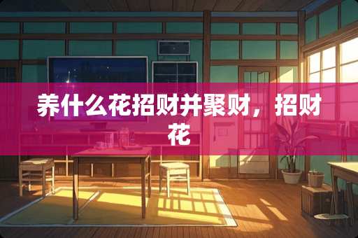养什么花招财并聚财，招财花