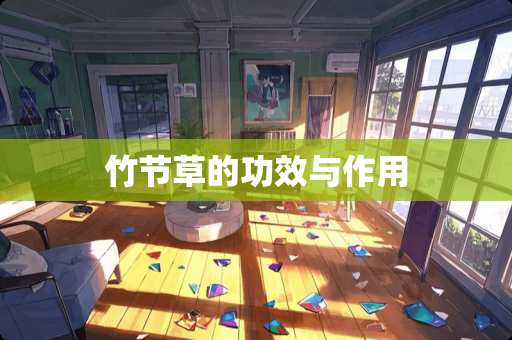 竹节草的功效与作用