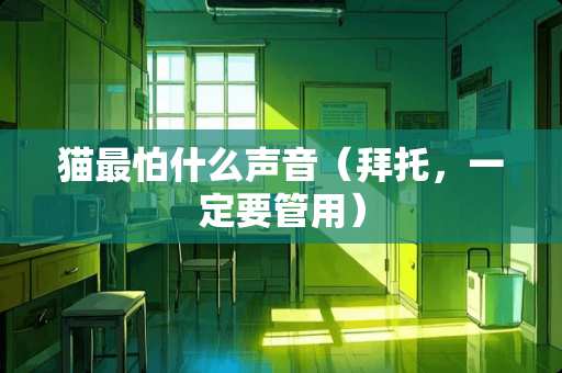 猫最怕什么声音（拜托，一定要管用）