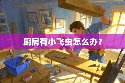 厨房有小飞虫怎么办？