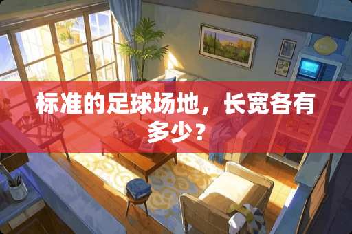 标准的**场地,长宽各有多少? 标准的**场地,长宽各有多少?
