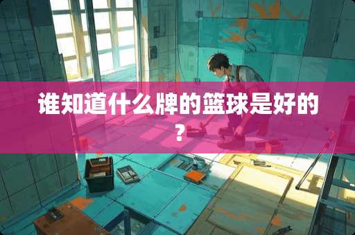 谁知道什么牌的篮球是好的？
