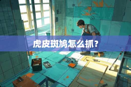 虎皮斑鸠怎么抓？