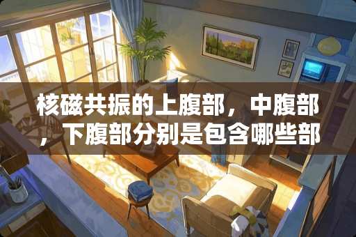 核磁共振的上腹部，中腹部，下腹部分别是包含哪些部位，怎么办？