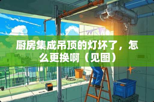 厨房集成吊顶的灯坏了，怎么更换啊（见图）