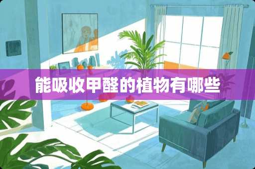 能吸收甲醛的植物有哪些