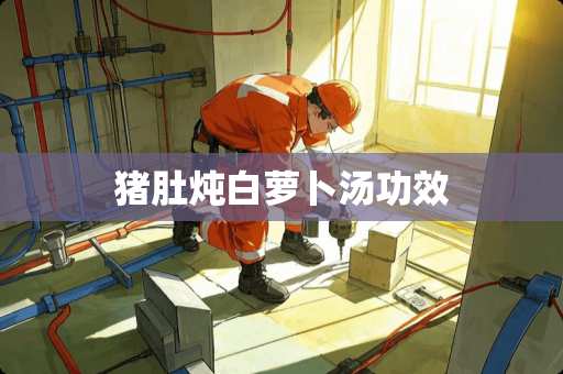 猪肚炖白萝卜汤功效