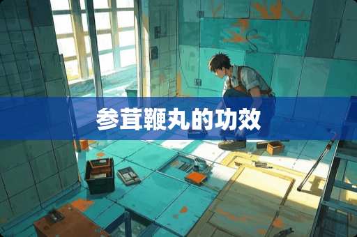 参茸鞭丸的功效