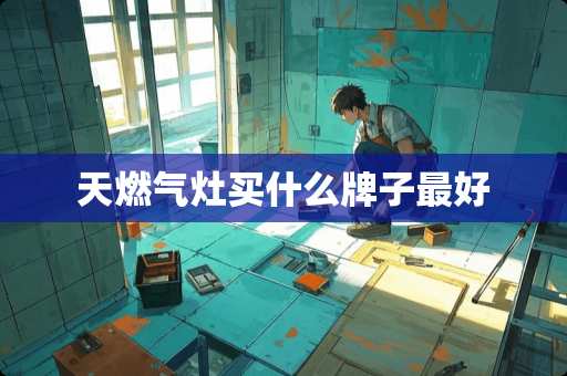 天燃气灶买什么牌子最好