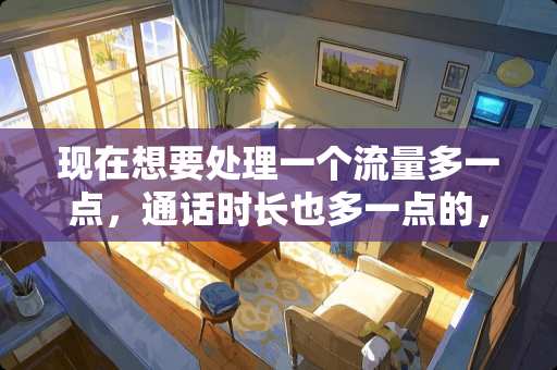 现在想要处理一个流量多一点，通话时长也多一点的，可以吗？